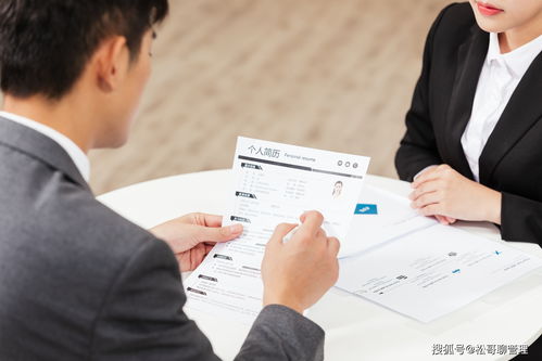 874萬應屆生求職季 若忽視這關鍵兩點，或面臨“畢業即失業”困境——來自企業管理咨詢的忠告